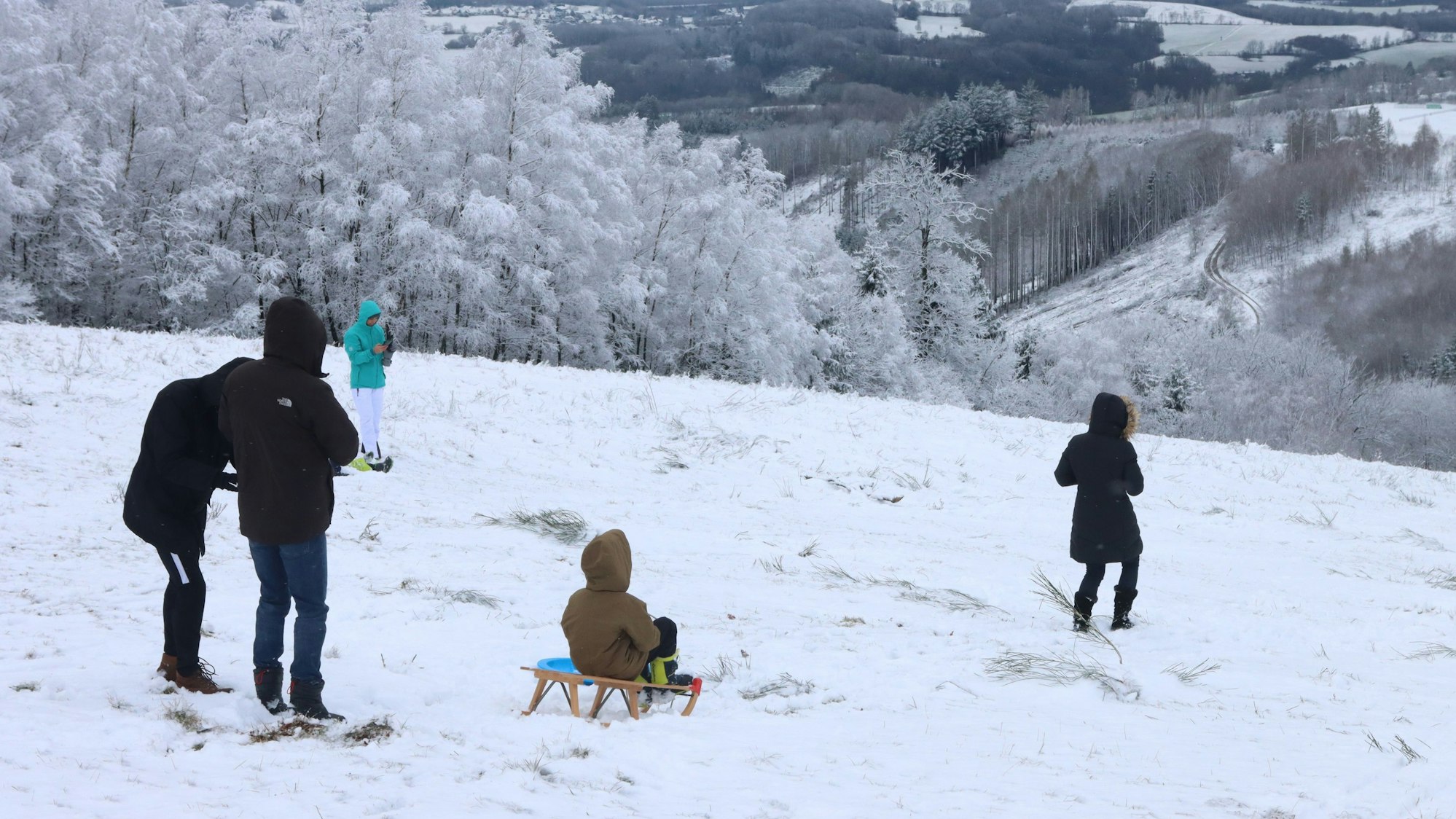 Auf einem verschneiten Hang fahren mehrere Kinder mit ihren Schlitten.