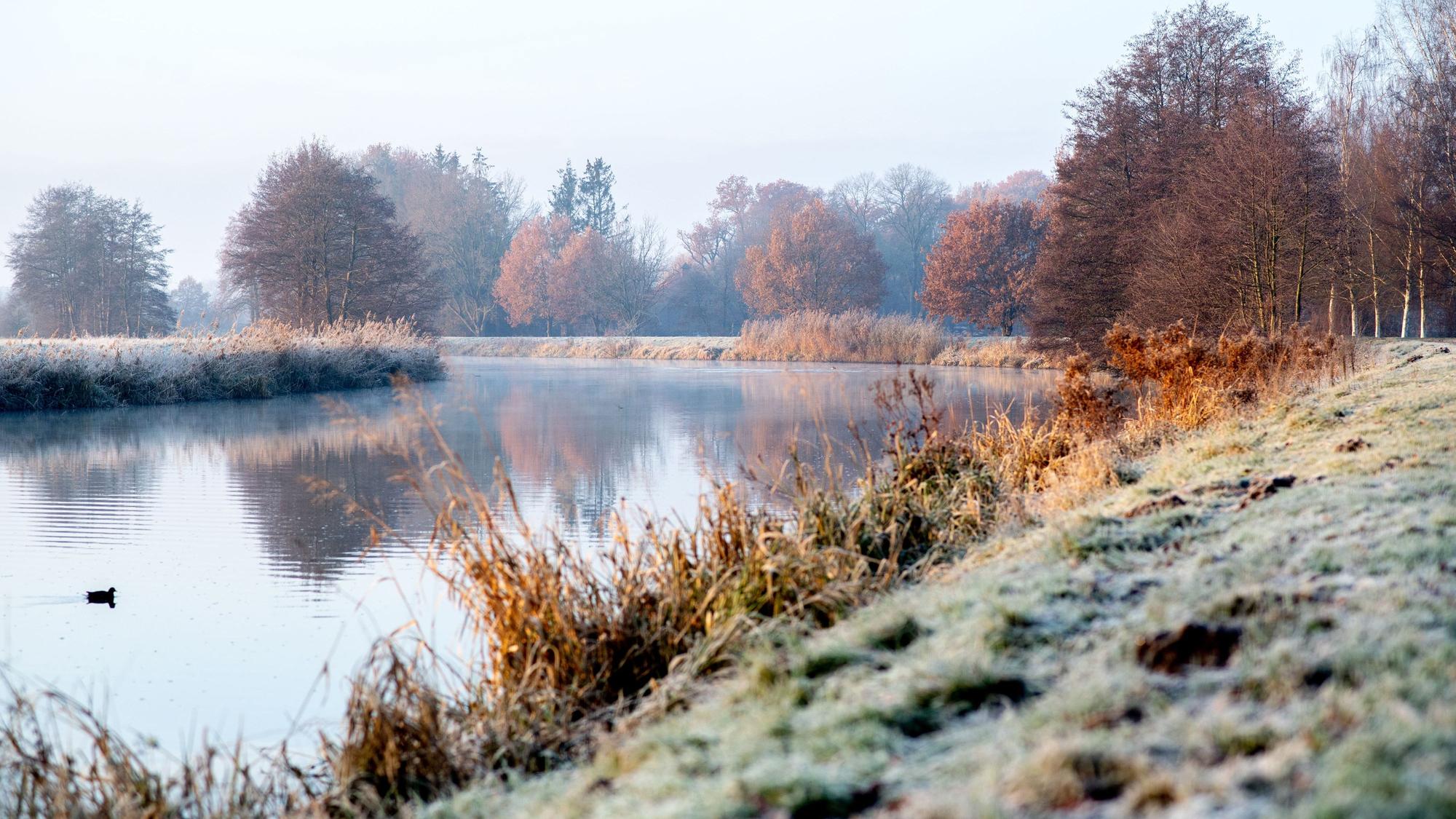 Leichter Frost bedeckt die Sträucher und das Gras auf dem Deich an der Hunte.