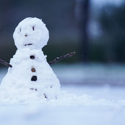 In Kreuzau bei Düren bauten drei junge