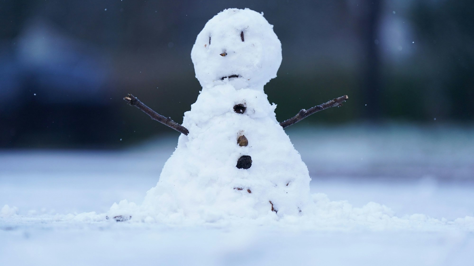 In Kreuzau bei Düren bauten drei junge