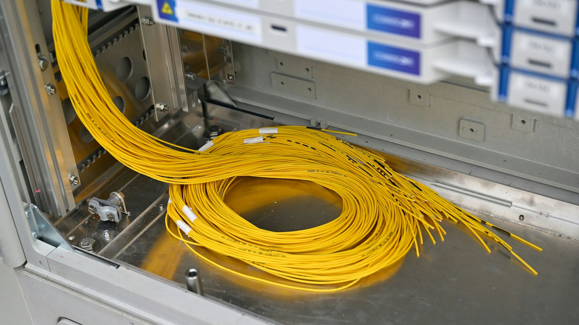 Gelbe Kabel schlängeln sich in einem Serverkasten.