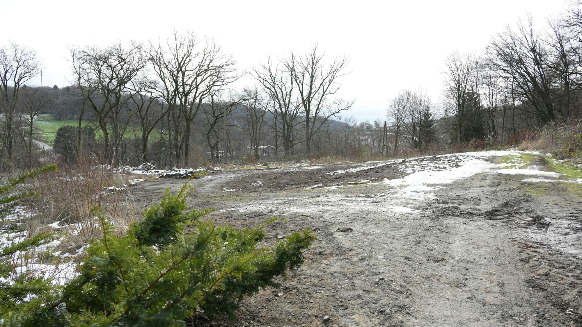 Das Gelände der ehemaligen Jugendherberge Kürten ist gerodet worden.