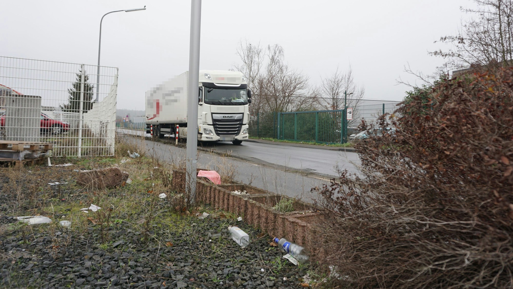 Ein Lkw fährt über eine Straße. Im Randbereich auf einer Wiese liegt eine Menge Müll.