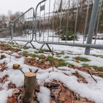 Zu sehen sind die Reste einer Hecke, davor eine Reihe Absperrgitter.