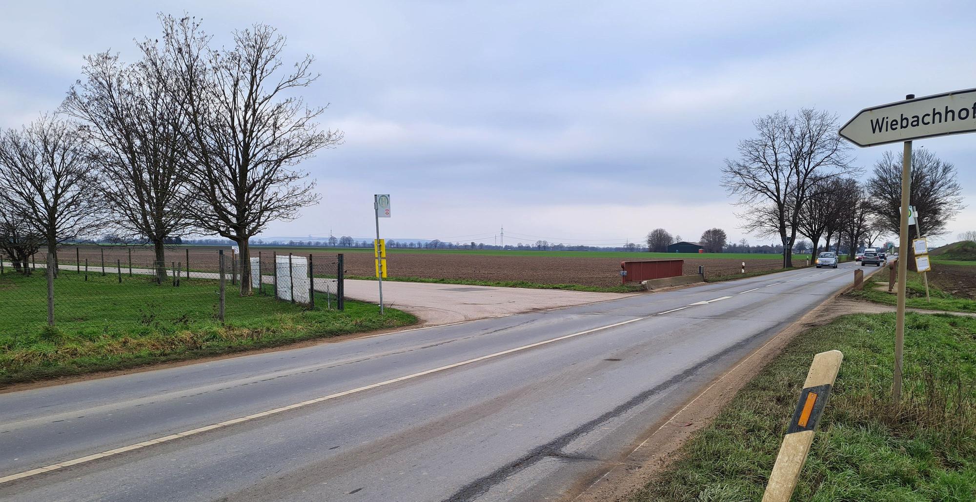Straße zum Wiebachhof in Bergheim