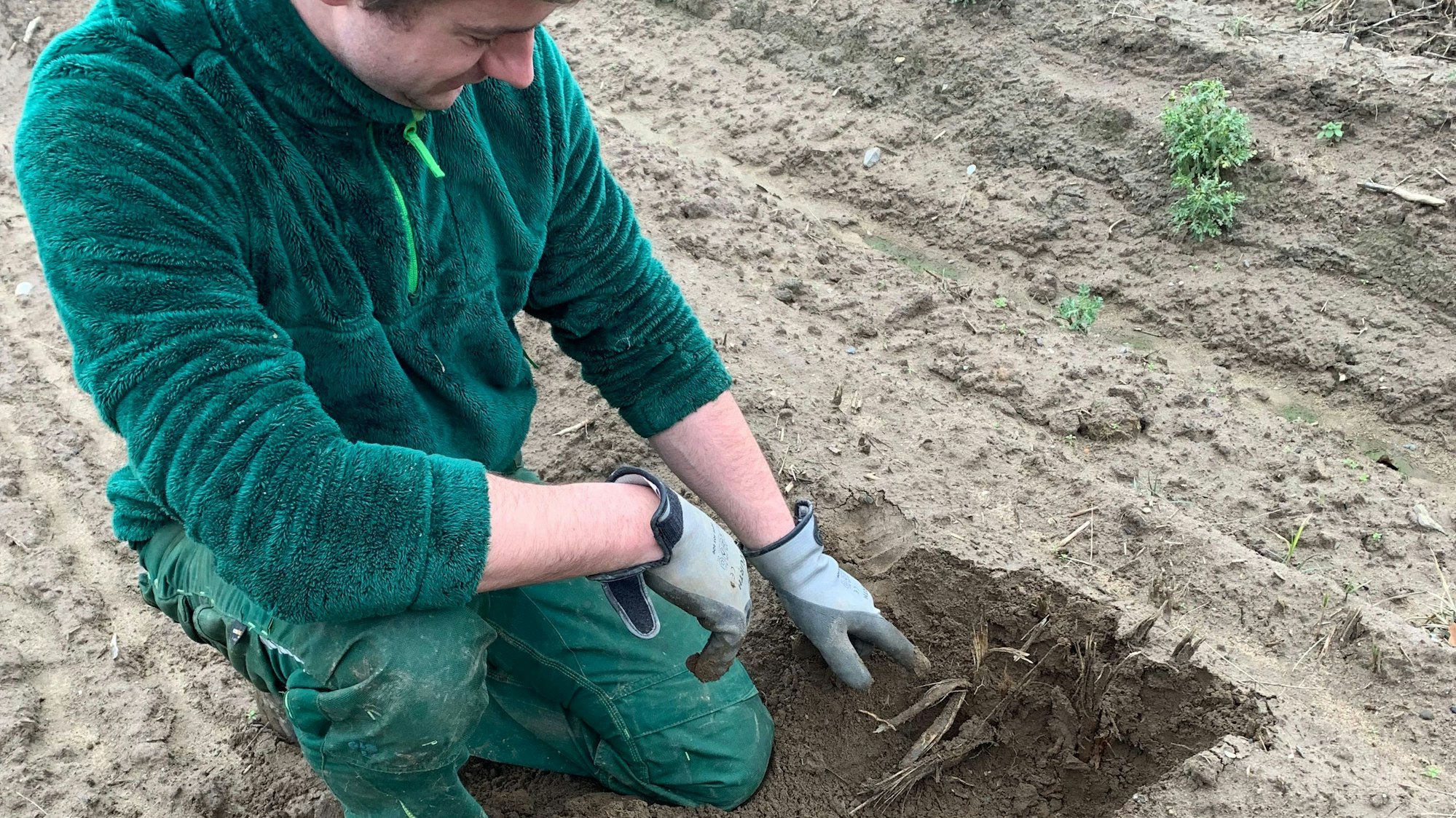 Max Fritzen zeigt den Spargel, der ab April in den handel kommt.
