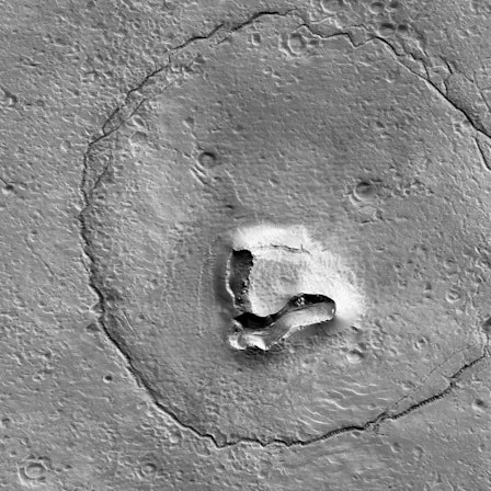 Bären-Gesicht auf dem Mond