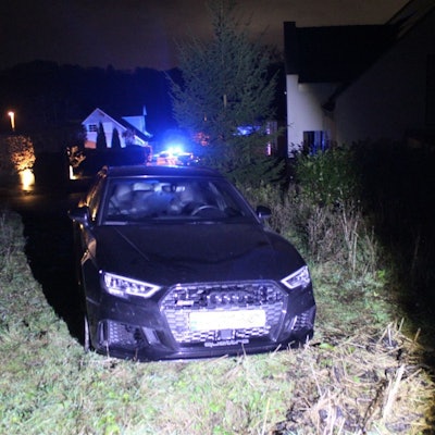 Ein dunkler Audi steht auf einer Wiese, im Hintergrund sind Häuser zu sehen.