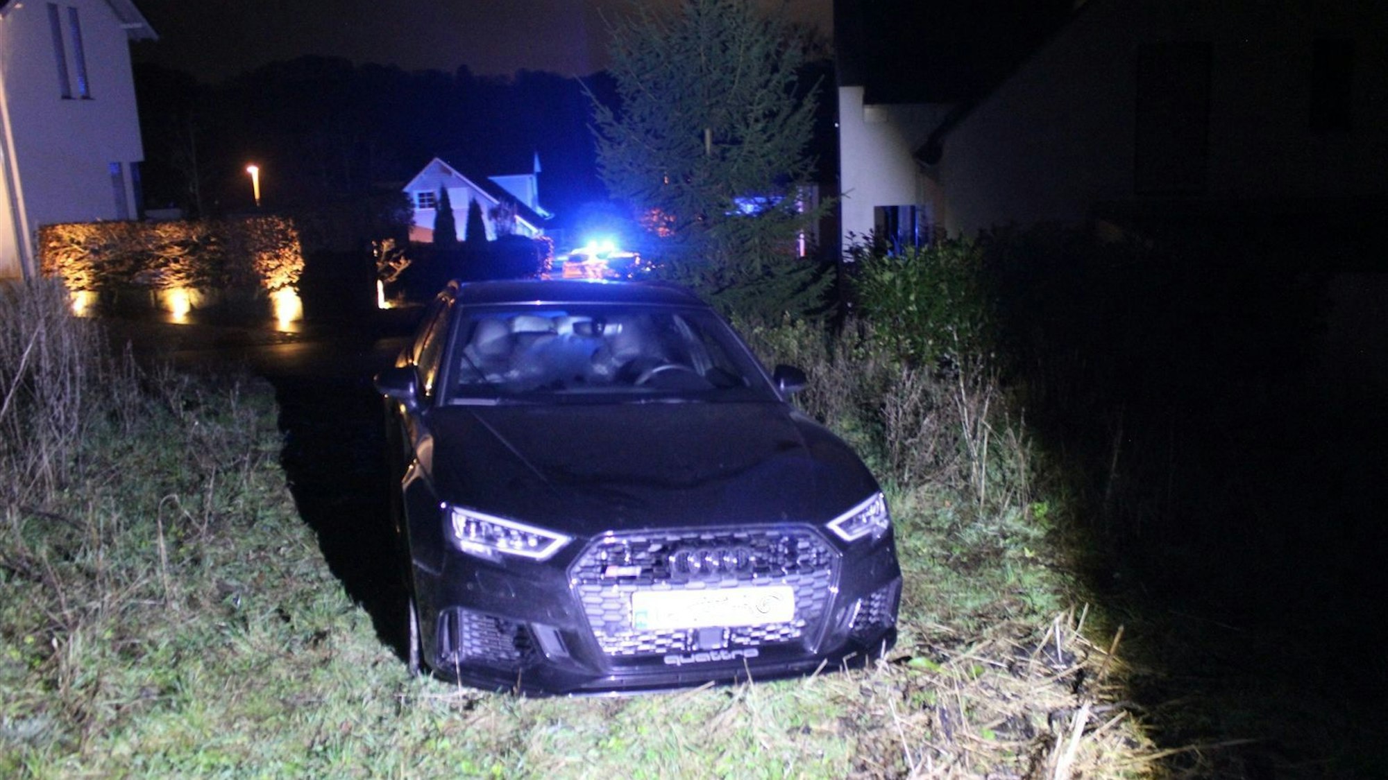Ein dunkler Audi steht auf einer Wiese, im Hintergrund sind Häuser zu sehen.
