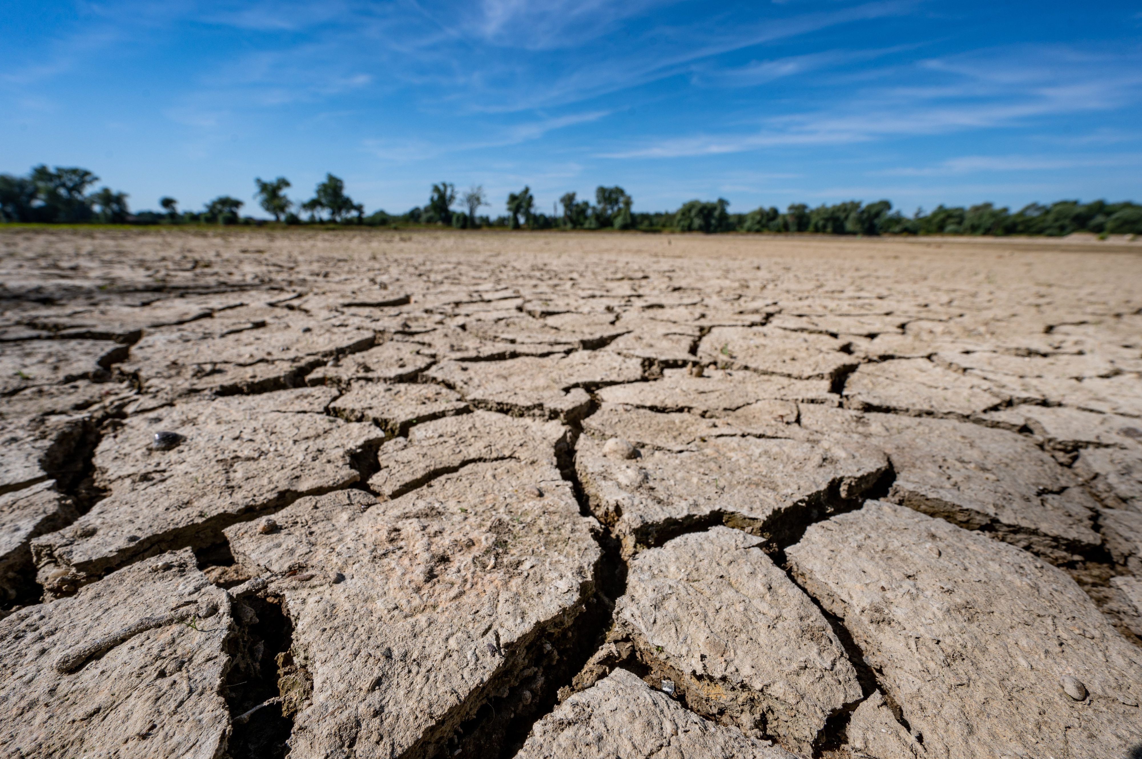ARCHIV - 20.07.2022, Bayern, Mariaposching: Aufgerissen und ausgetrocknet ist eine Sandbank an der Niedrigwasser führenden Donau. (zu dpa "WEF: Inflation, Cyberattacken und Klimawandel sind globale Risiken") Foto: Armin Weigel/dpa +++ dpa-Bildfunk +++