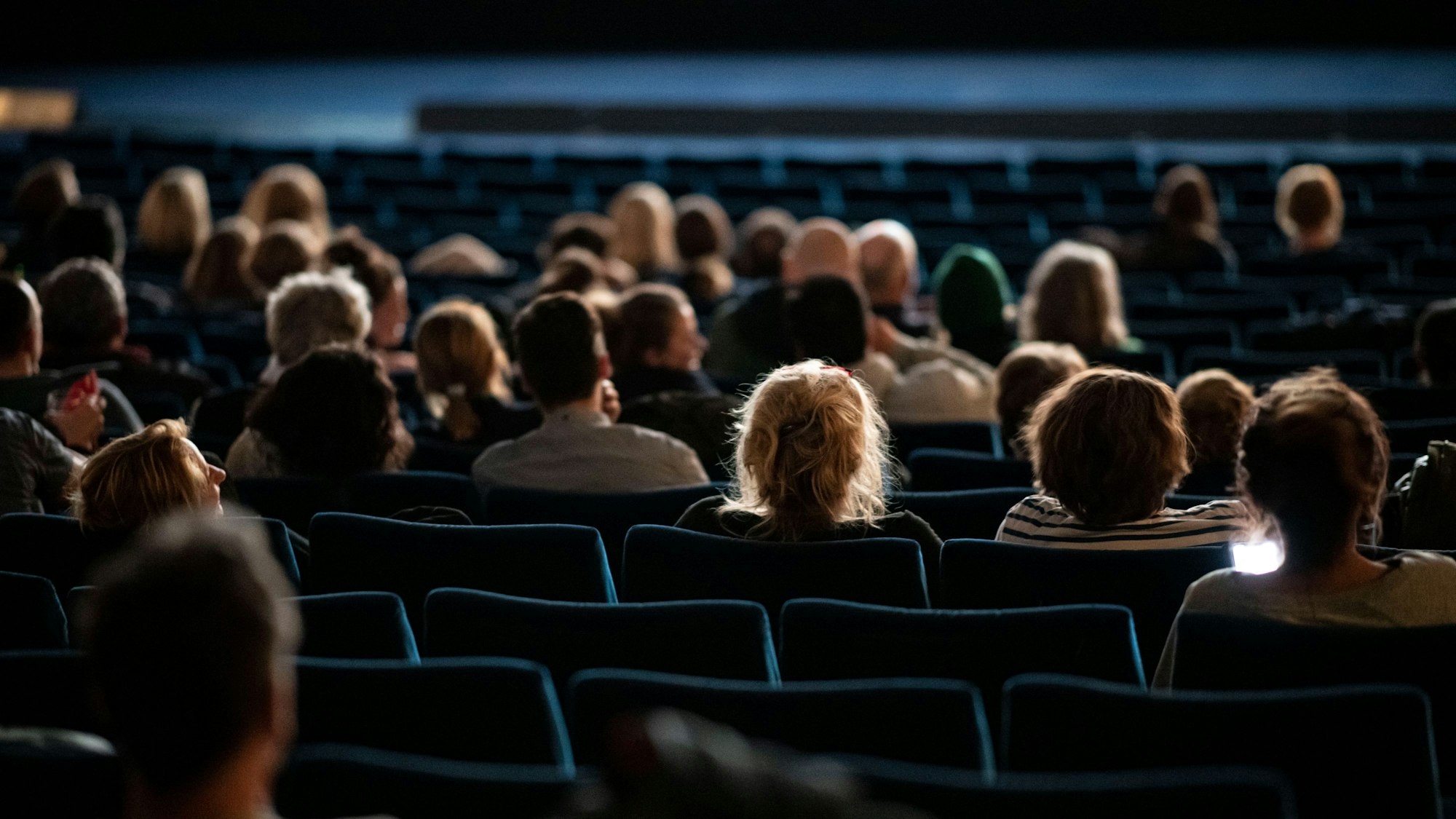 Besucher sitzen im Kino. Man sieht ihre Hinterköpfe.
