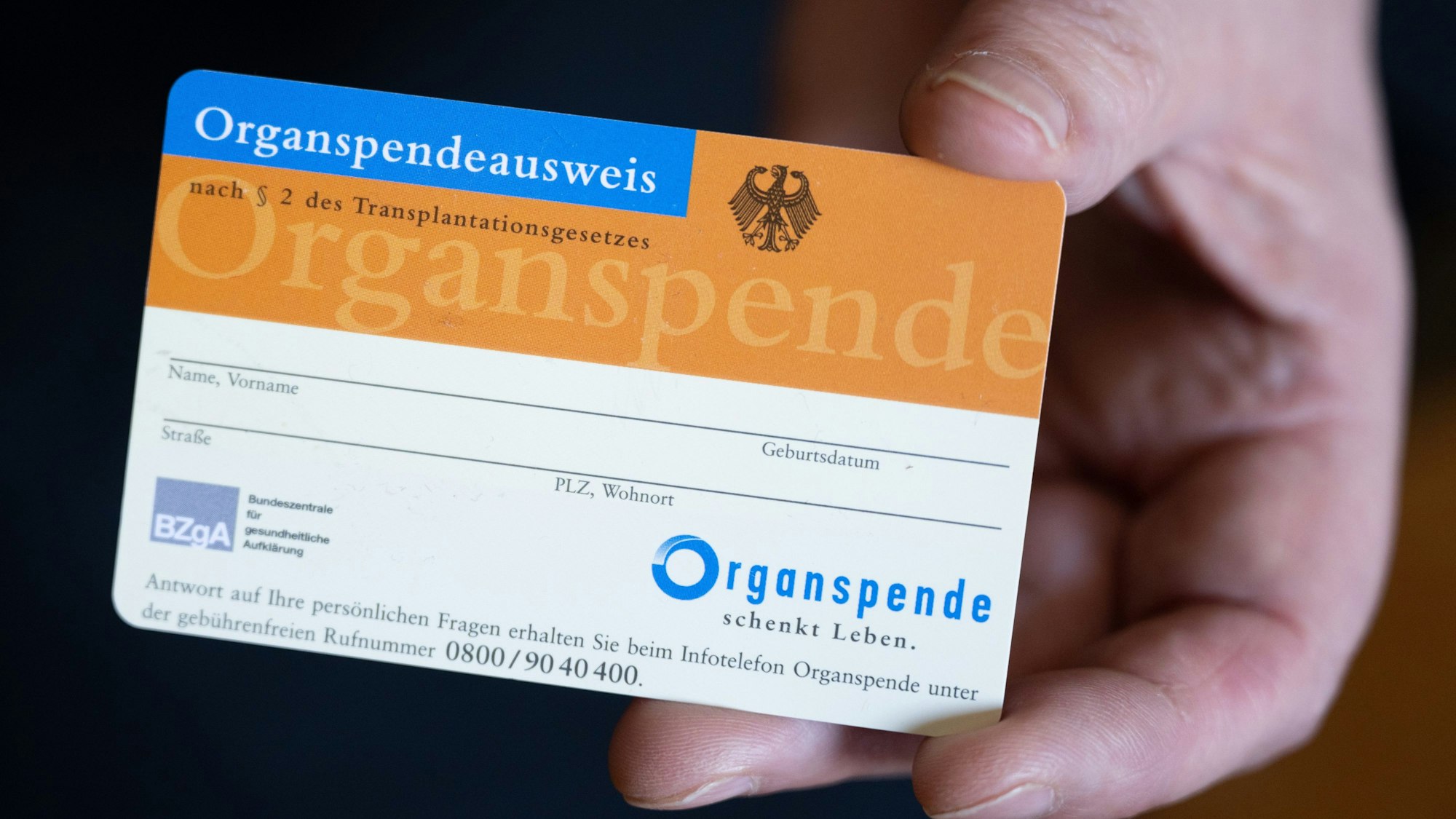 Eine Person hält einen Organspendeausweis in der Hand