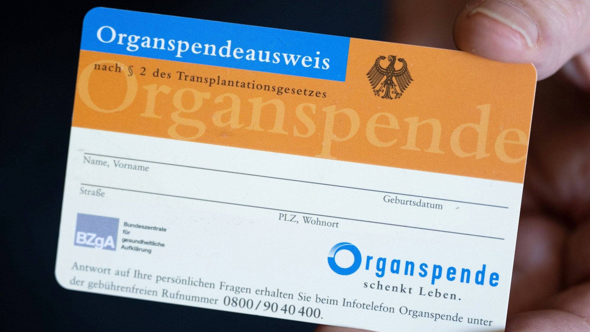 Eine Frau hält einen Organspendeausweis in ihren Händen.