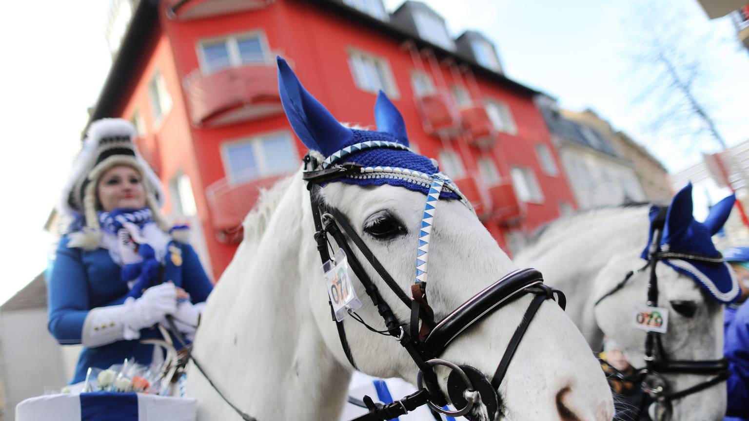 ARCHIV - 12.02.2018, Nordrhein-Westfalen, Köln: Eine Karnevalistin auf einem Pferd nimmt am Kölner Rosenmontagszug teil.
