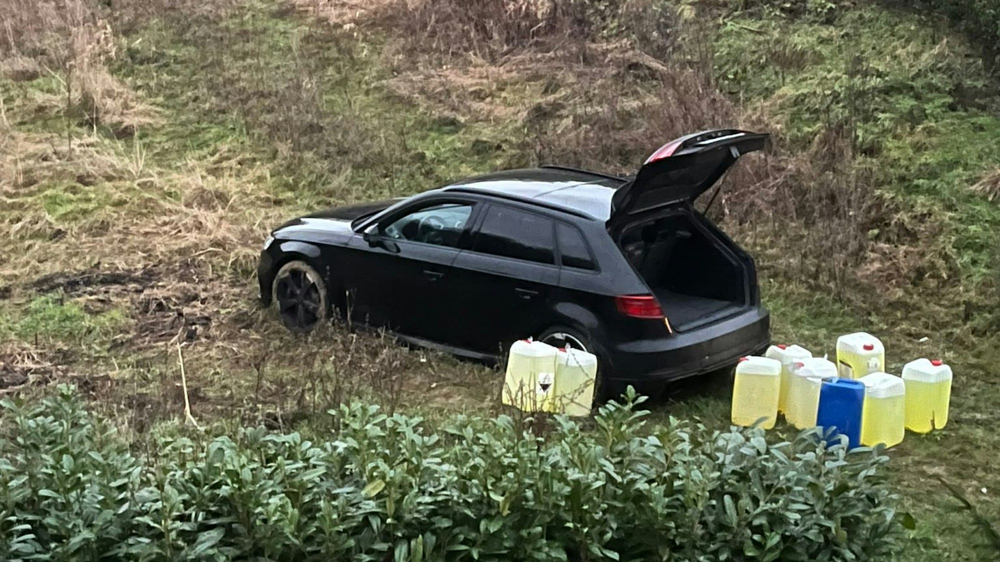 Ein dunkler BMW mit geöffneter Kofferraumklappe steht auf einer Wiese. Daneben neun Kanister.