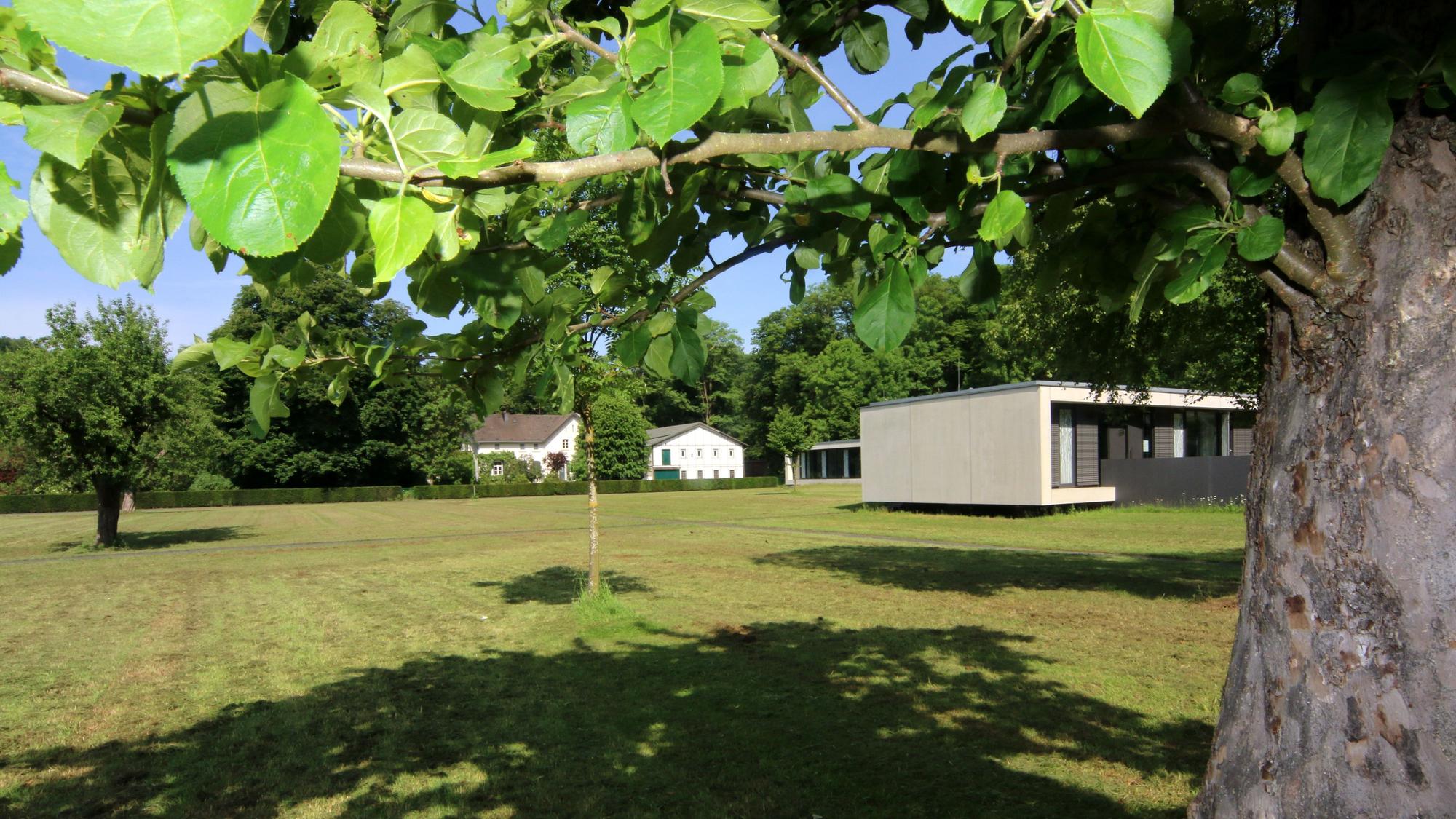 Zu sehen ist ein Baum im Vordergrund und im Hintergrund eine große Wiese mit einem Flachdachgebäude.