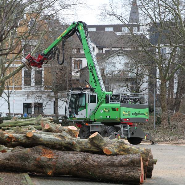 Ein Bagger führt Fällarbeiten durch.