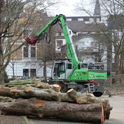 Ein Bagger führt Fällarbeiten durch.