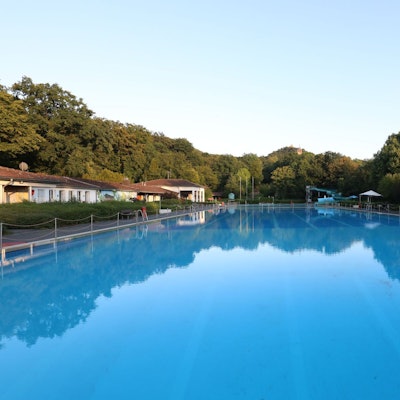 Ein großes Schwimmbecken mit blauem Wasser, im Hintergrund stehen Bäume.