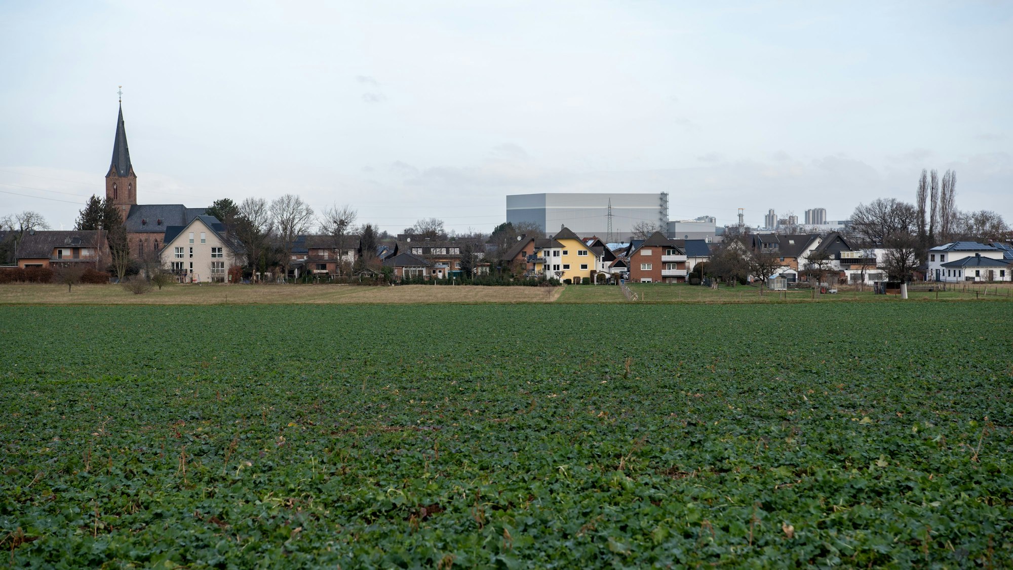 Gebäude des Siedlungsschwerpunkts Firmenich-Obergartzem stehen im Hintergrund vor einem Feld