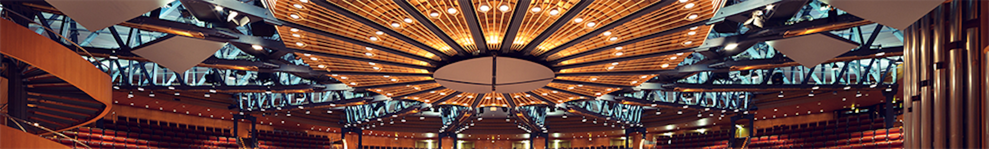 Banner für Themenseite