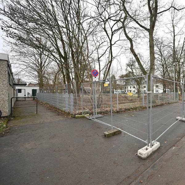 Ein Bauzaun ist um Bäume In den Auen in Bergisch Gladbach Refrath aufgebaut.