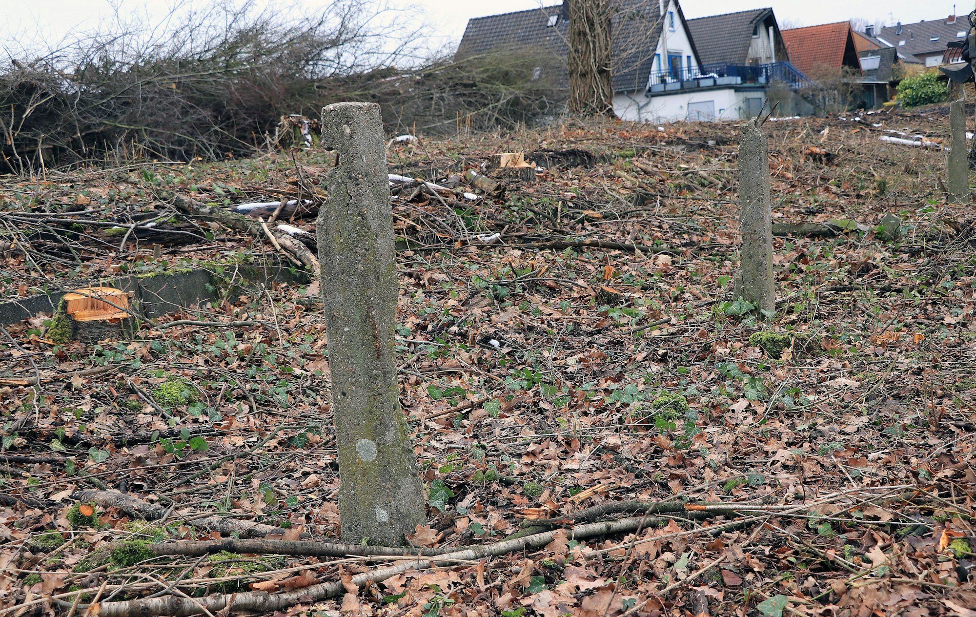 Betonpfosten stehen in überwachsenem Boden und sehen stark verschlissen aus.