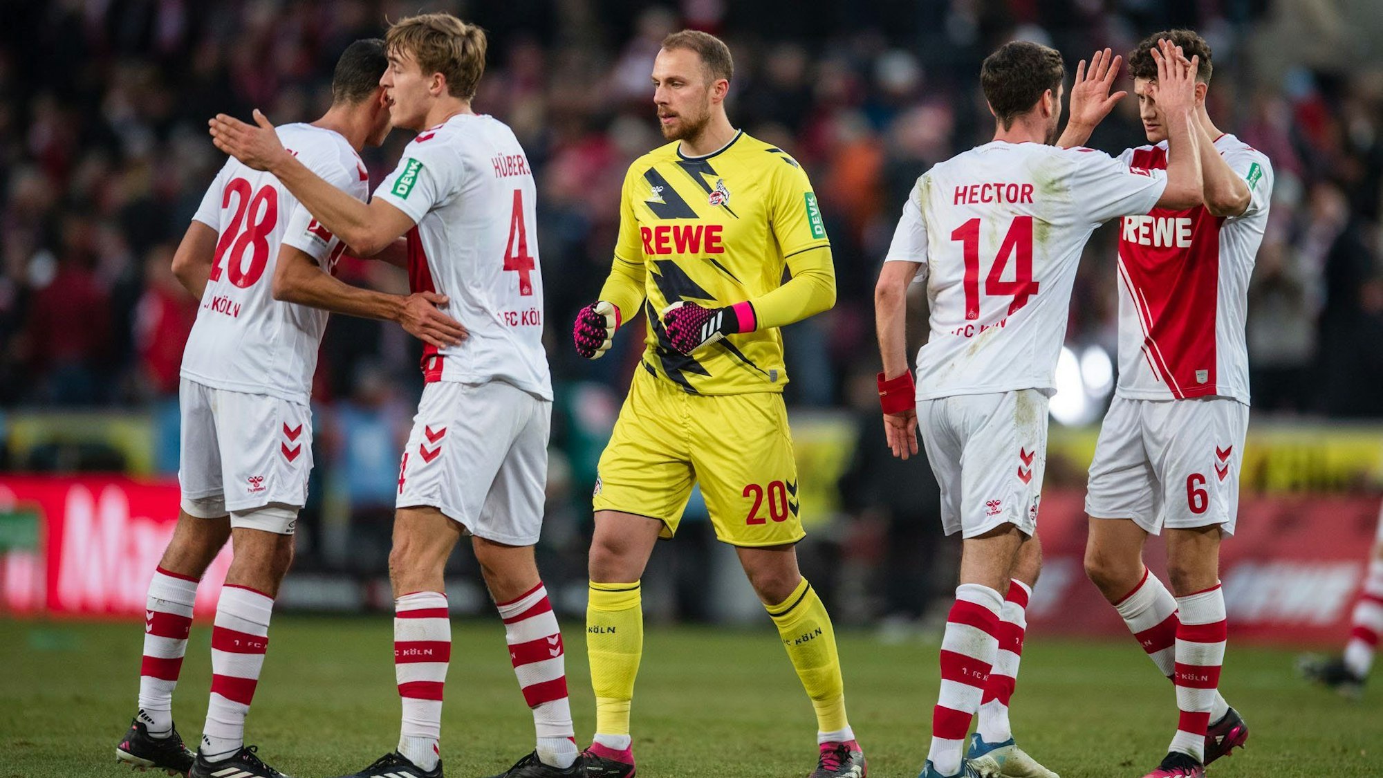 Kölns Ellyes Skhiri (l-r), Timo Hübers, Torhüter Marvin Schwäbe, Jonas Hector und Eric Martel klatschen sich nach der Partie ab.