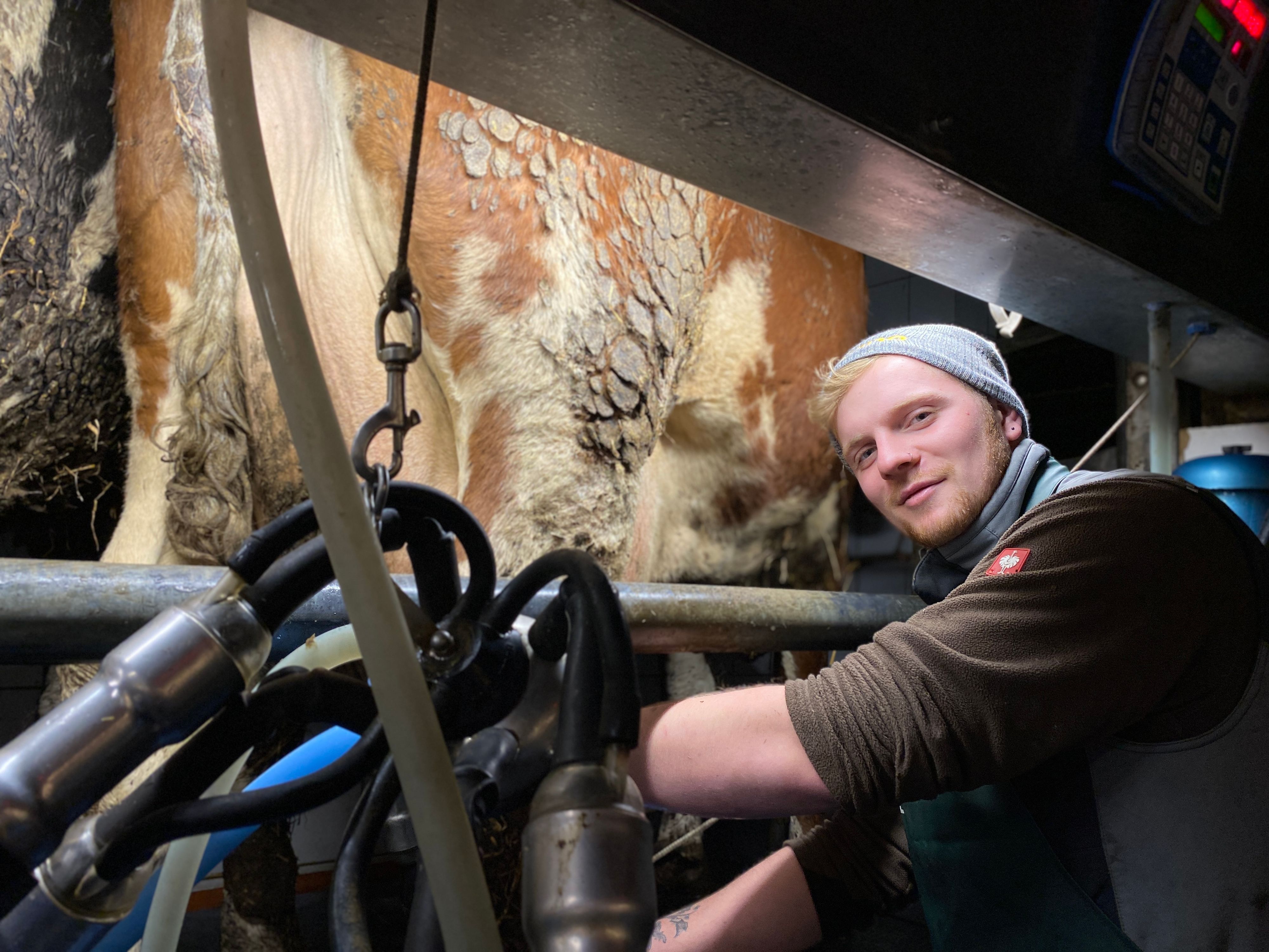 Die Landwirtschaft hat es Mats Tylla angetan. Mehrmals in der Woche kommt er auf den Erftstädter Milchhof Schäfer, um die Kühe zu melken.