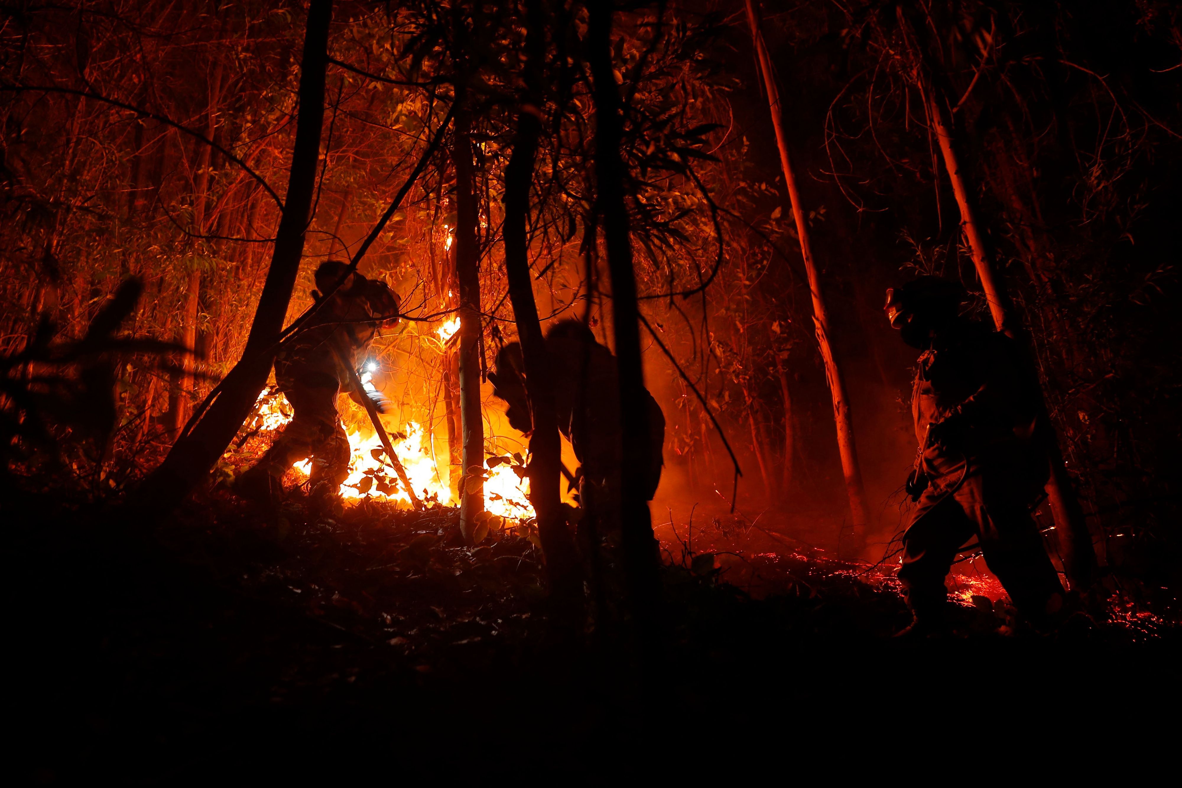 Feuerwehrleute bekämppfen einen von zahlreichen Waldbränden in Chile.