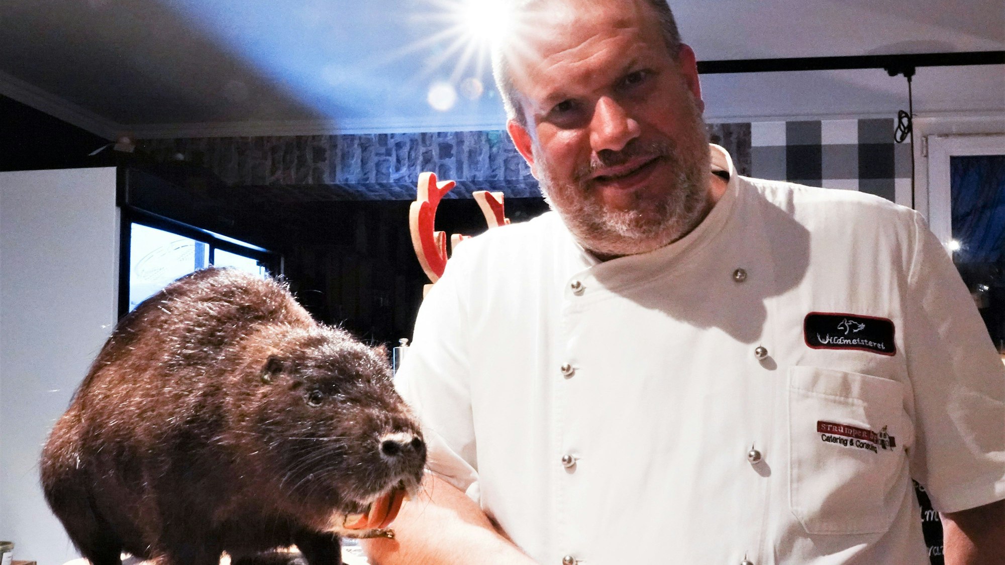 Koch Johannes Siemes steht neben einem ausgestopften Nutria.