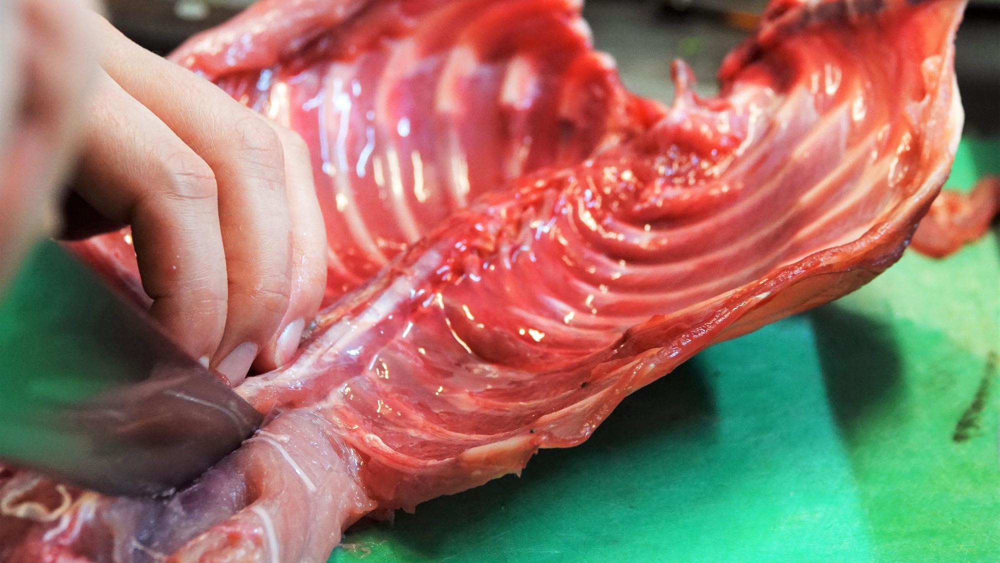 Ein Kochkursteilnehmer schneidet Fleisch von der Karkasse eines Nutria.