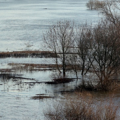 Kanuten paddeln bei Hochwasser auf dem Rhein. (Symbolbild)