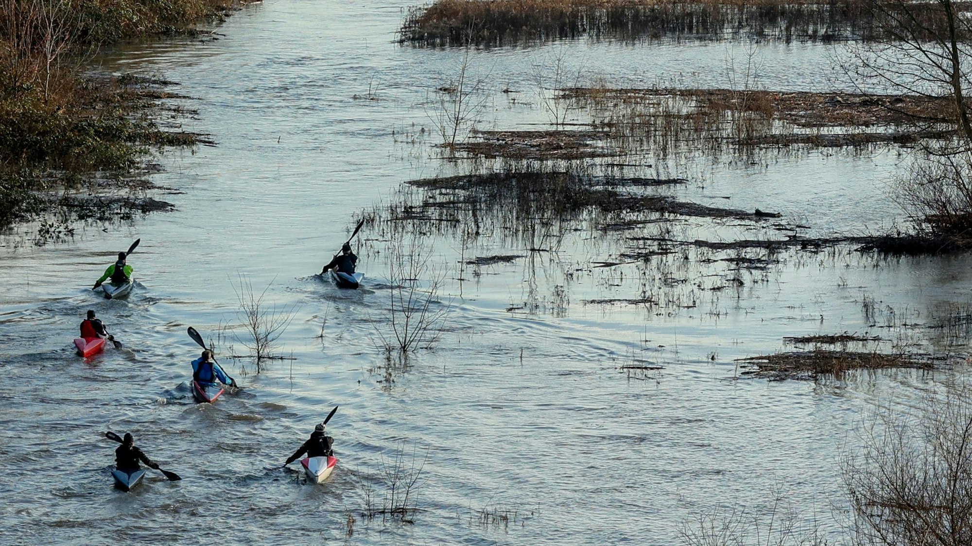 Kanuten paddeln bei Hochwasser auf dem Rhein. (Symbolbild)