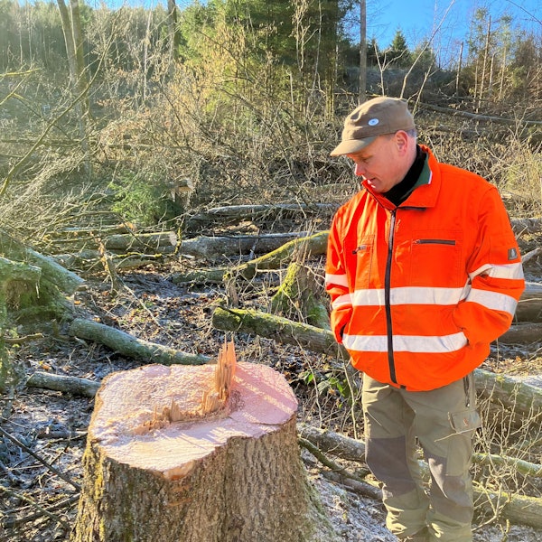 Guido Hennig vom Aggerverband betrachtet die Reste eines Baumstamms.