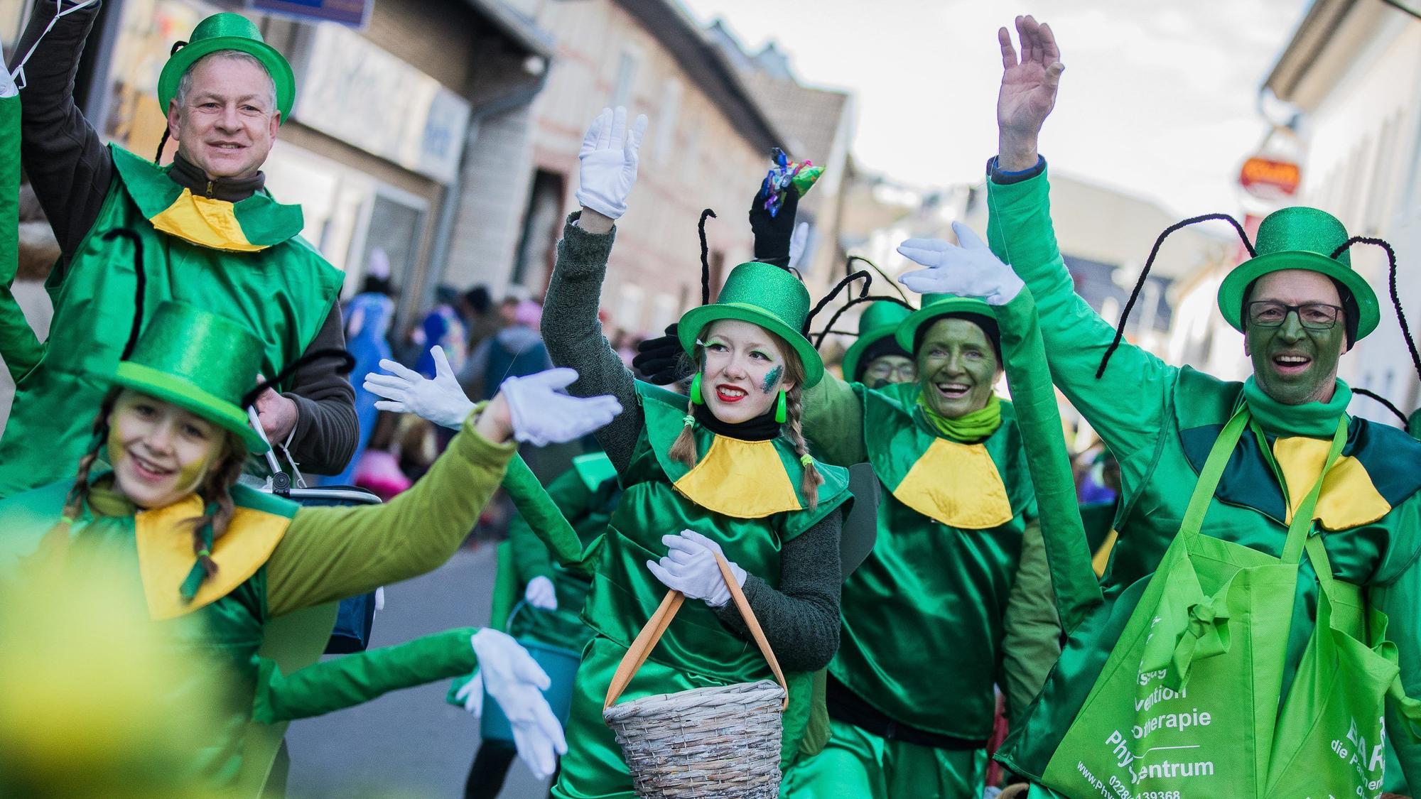 Alfter Karnevalszug 2018: Froschkostüme