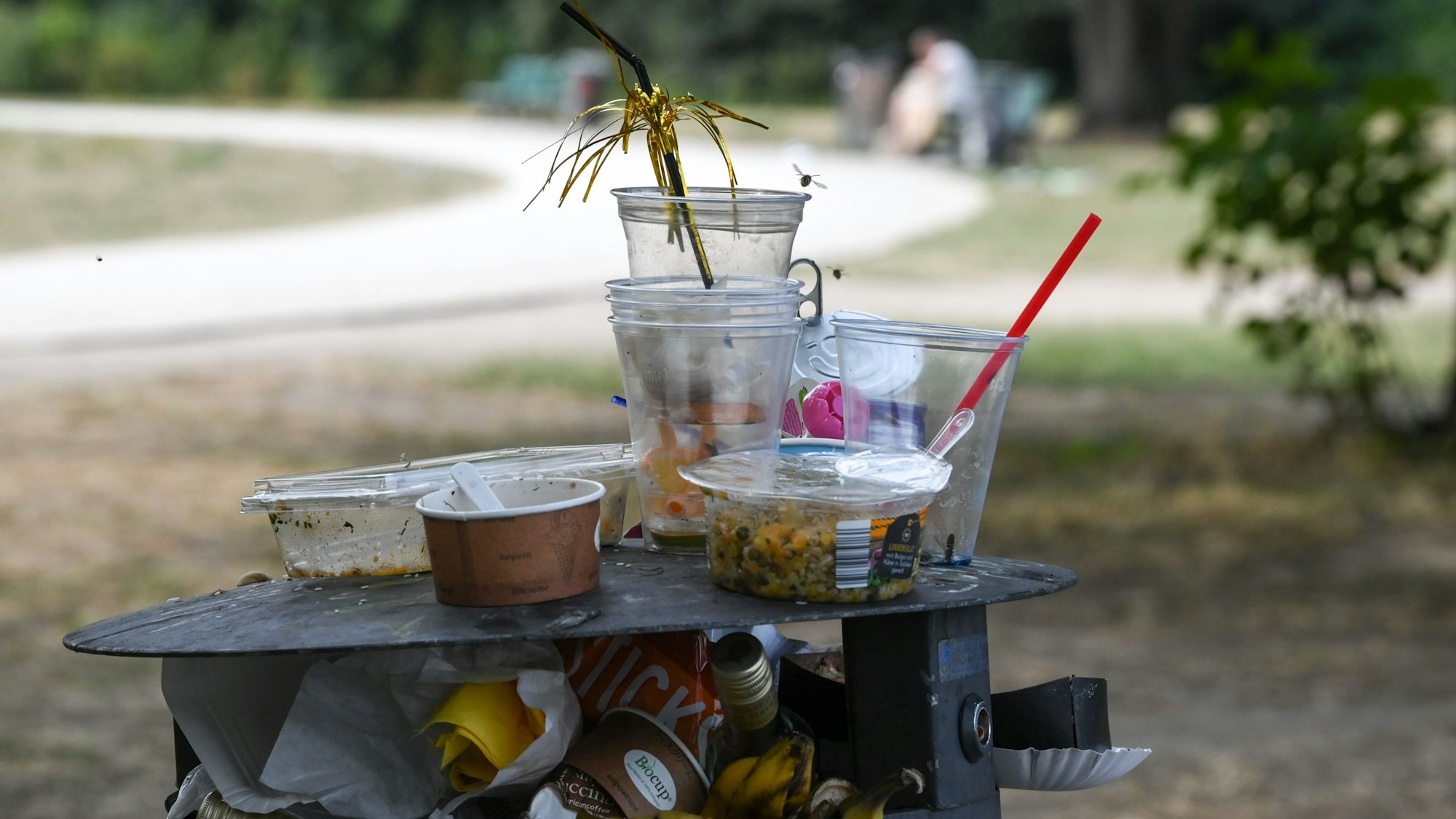 Ein übervoller Mülleimer mit Einwegverpackungen.