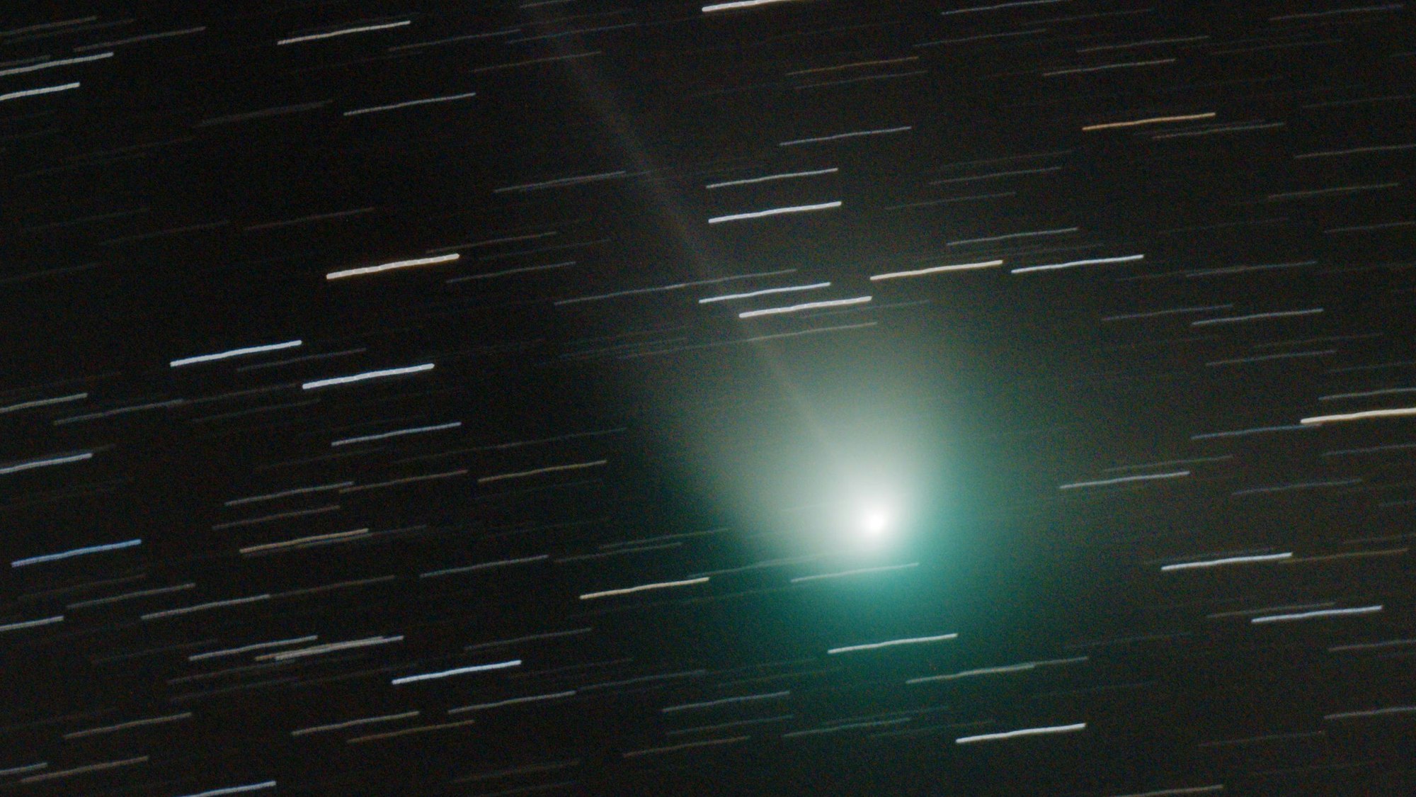 Der in Grüntönen leuchtende Komet im Nachthimmel.