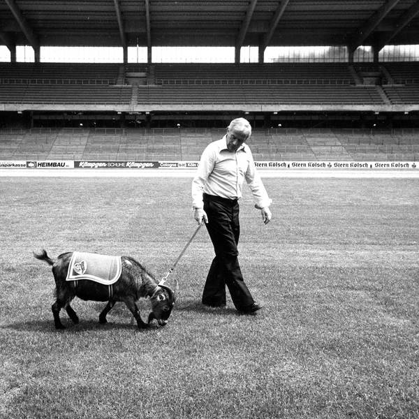 Legenden unter sich: Meistertrainer Hennes Weisweiler mit dem FC-Maskottchen.