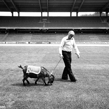 Legenden unter sich: Meistertrainer Hennes Weisweiler mit dem FC-Maskottchen.