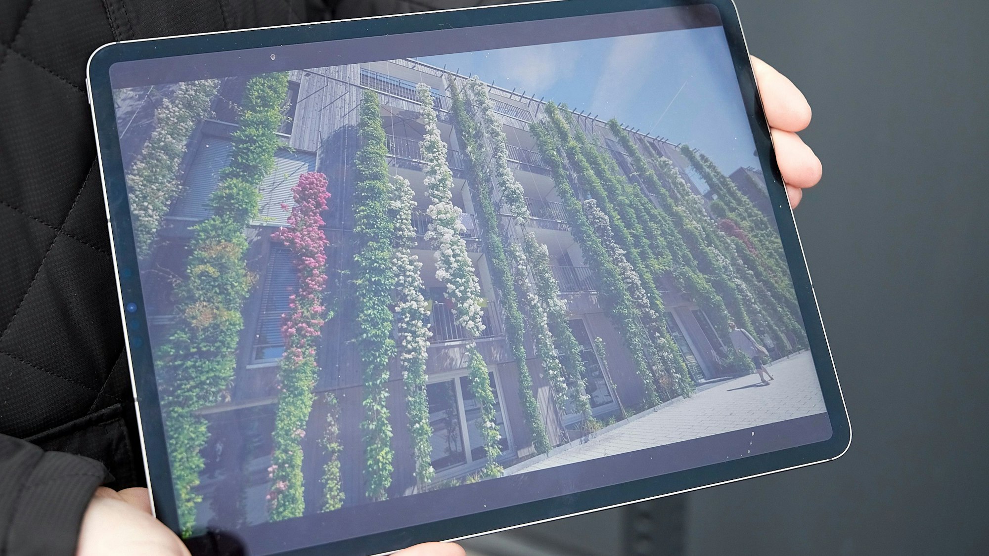 Auf einem Bildschirm ist zu sehen, wie die begrünte Fassade einmal aussehen soll.