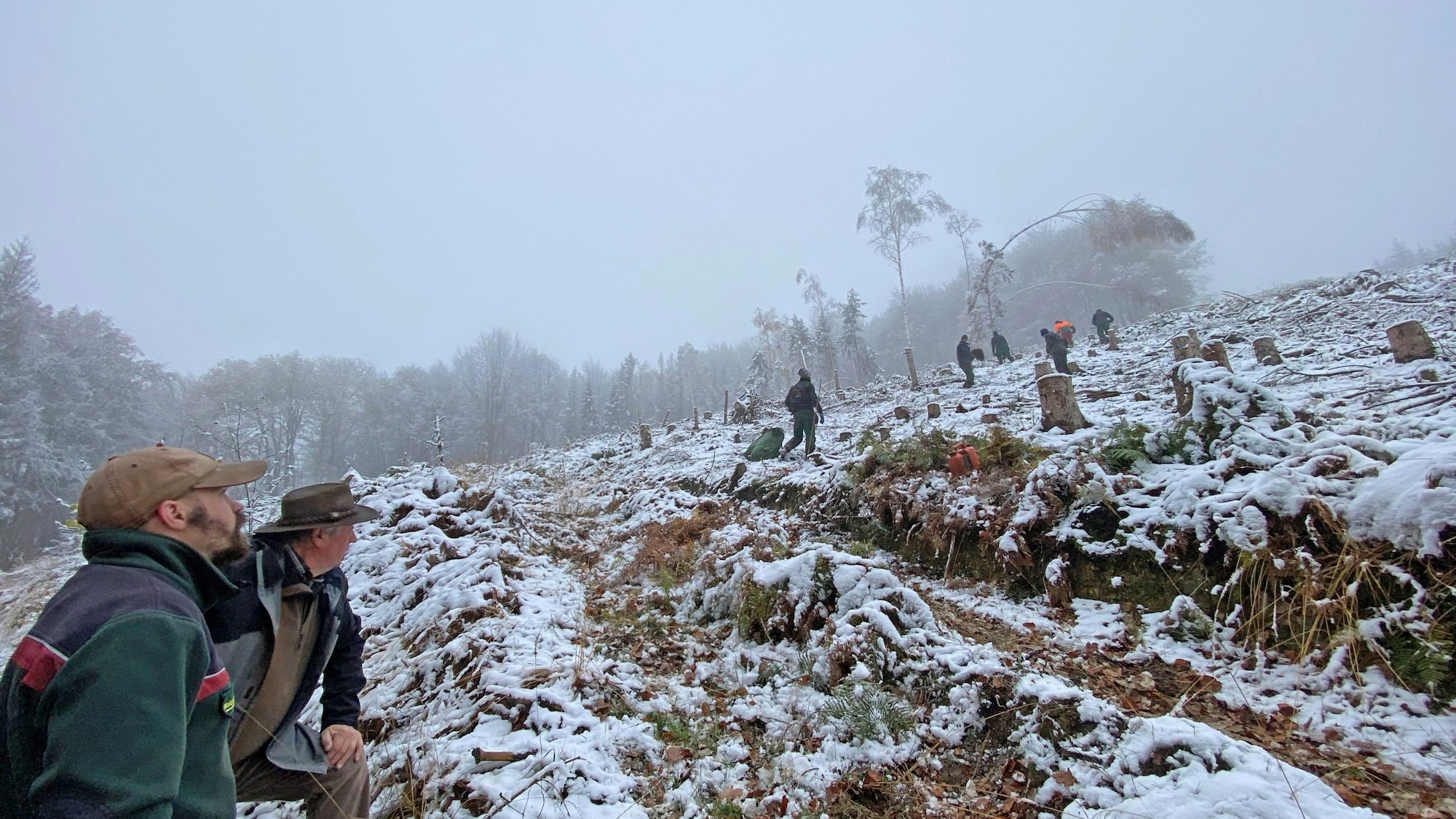Es ist ein vereistes Waldstück zu sehen. Zwei Männer schauen den Berg hinauf, auf dem andere Menschen arbeiten.
