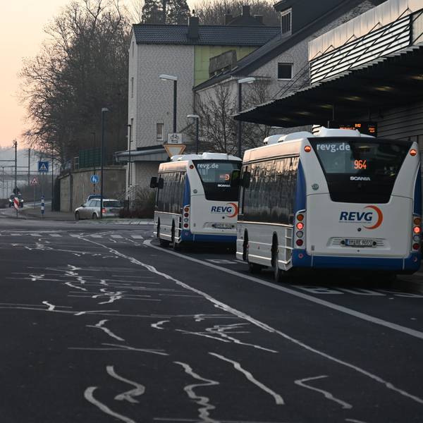 Drei Busse stehen an einem Busbahnhof.