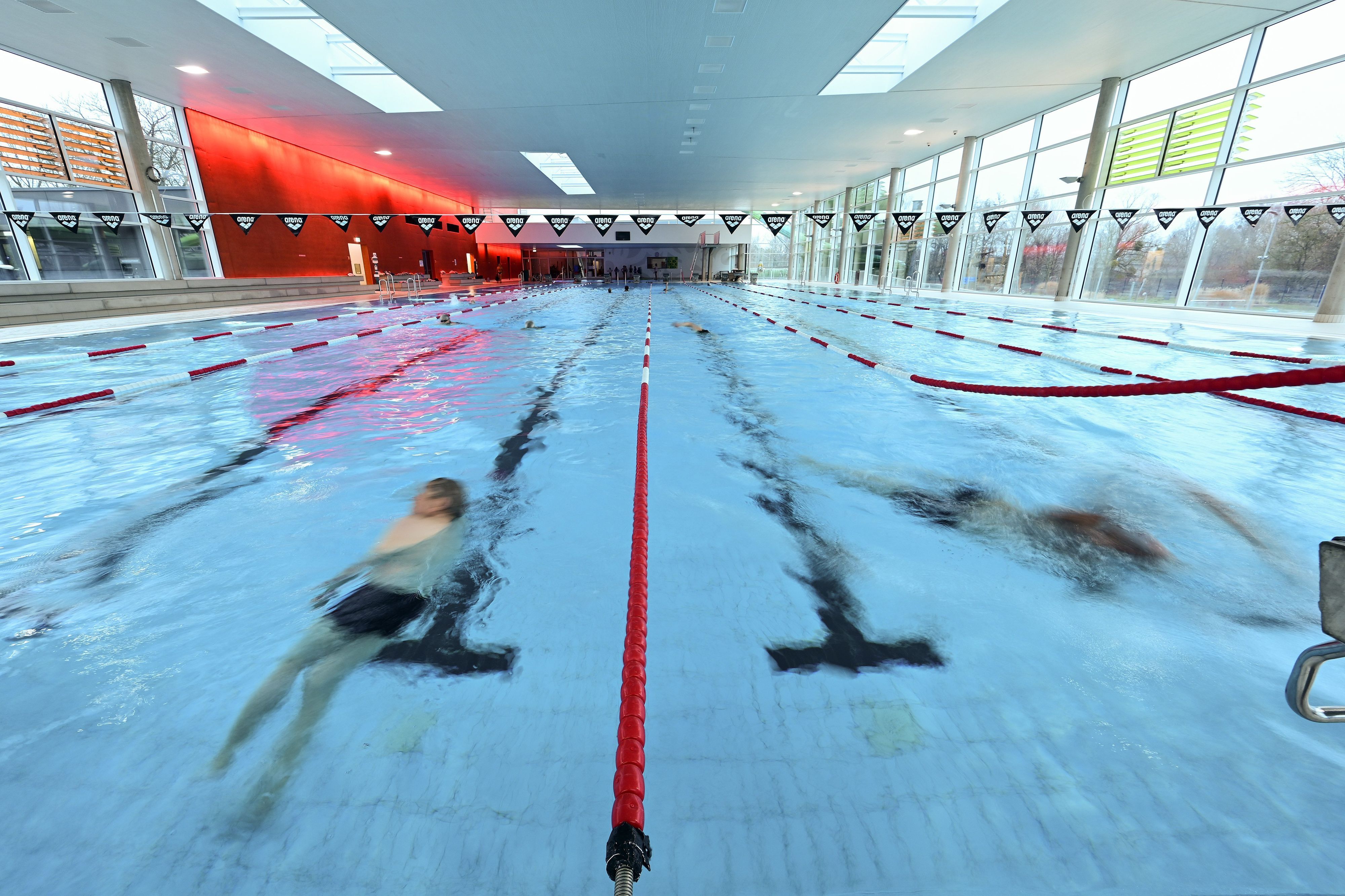 Mehrere Leute schwimmen Bahnen in einem Schwimmbad.