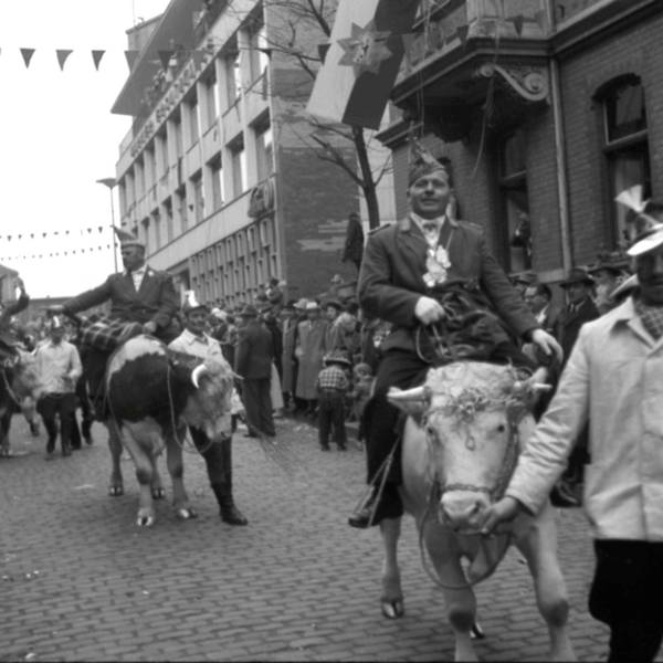 Beim Rosenmontagszug 1960 in Euskirchen ging es tierisch zu. Die Jecken ritten auf Ochsen durch die Bahnhofstraße.