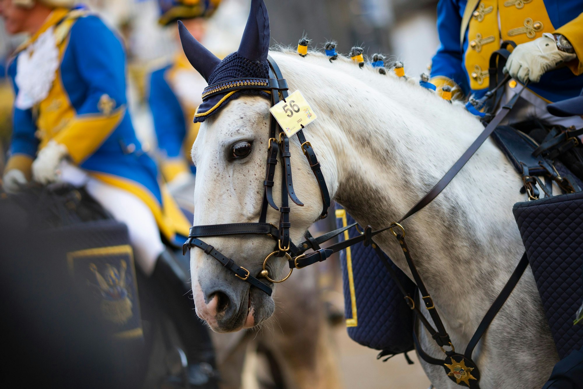Gelassen muss ein Pferd unter seinem Reiter bleiben.
