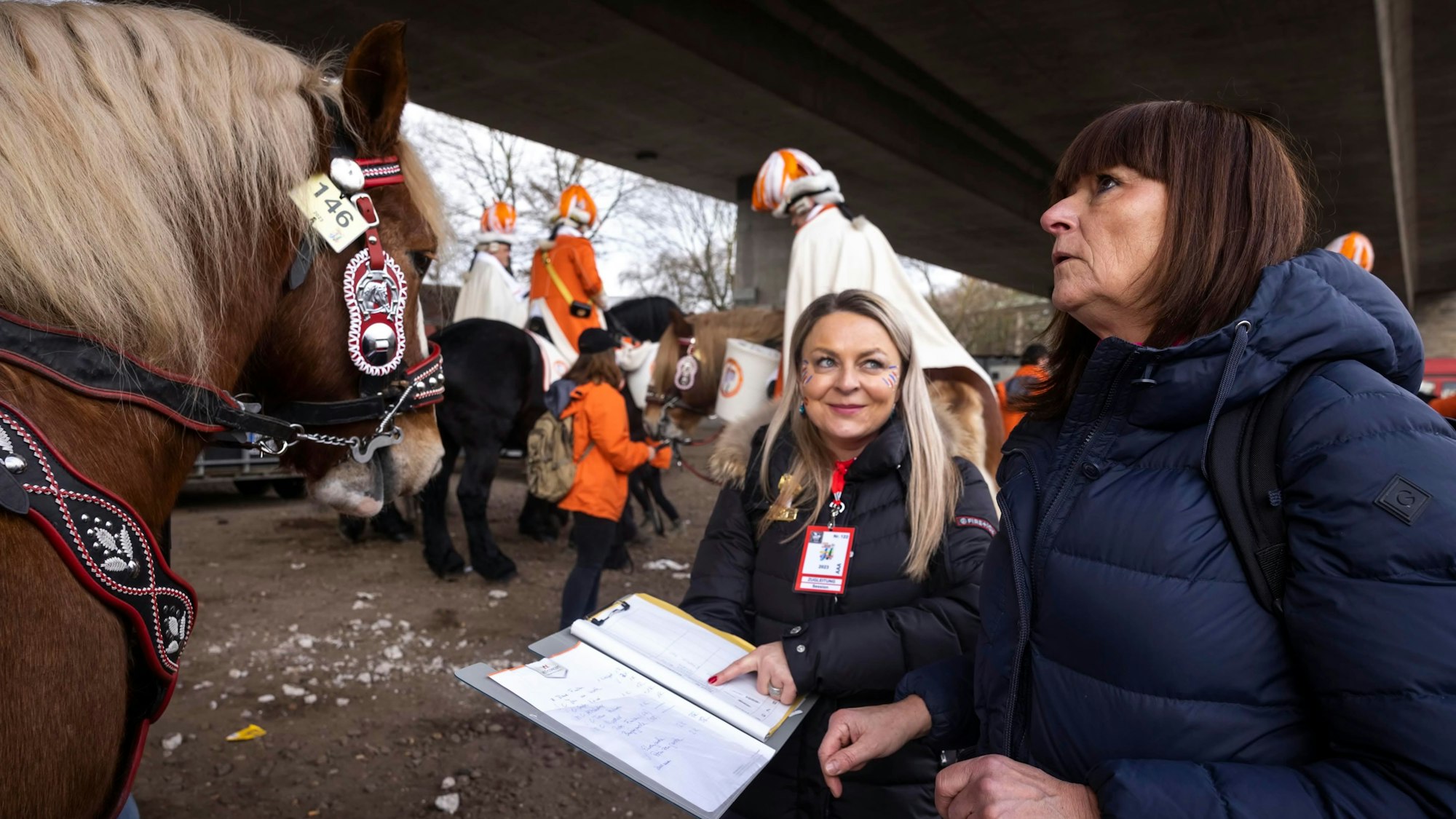 Die Ruhe selbst waren viele der Pferde, die Veterinärin Dr. Cornelia Augustiniok auf dem Parkplatz an der Claudius-Therme kontrollierte.