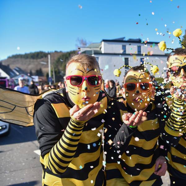 Selbstbewusst zeigte sich in diesem Jahr der Junggesellenverein Hellenthal als stechende Bienchen im Zoch.