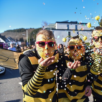 Selbstbewusst zeigte sich in diesem Jahr der Junggesellenverein Hellenthal als stechende Bienchen im Zoch.