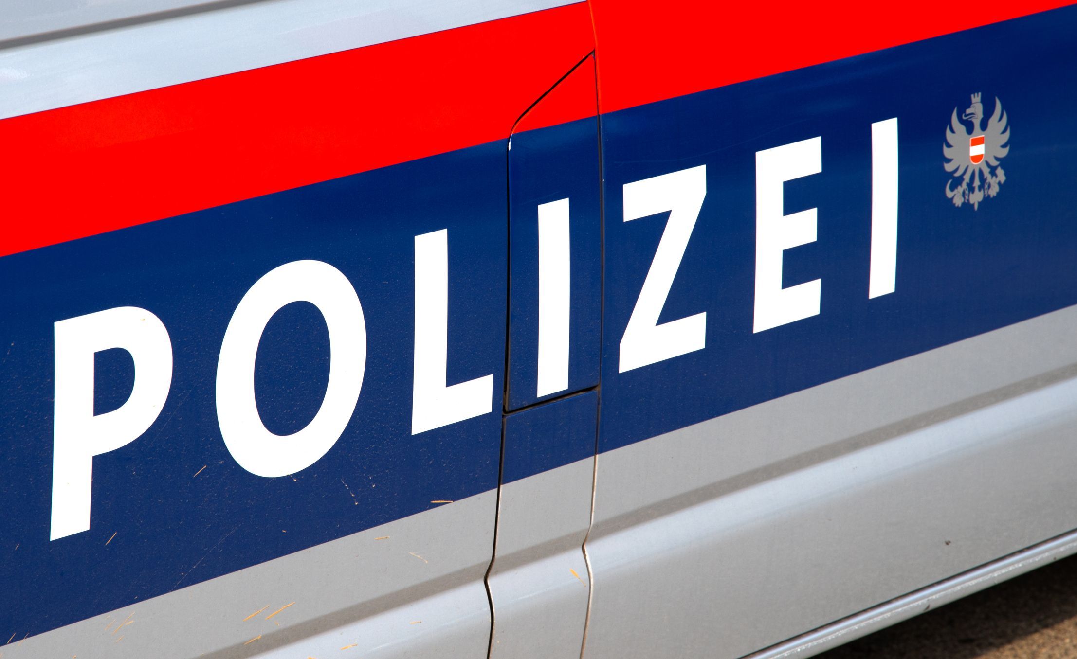 Die Tür eines Polizeiwagens in Österreich. (Symbolbild)